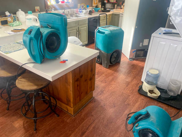 Best Residential water damage restoration  in Mount Pleasant, PA