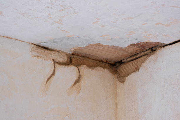  Mount Pleasant, PA Water damage restoration Pros