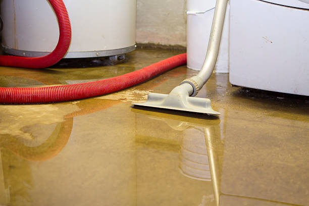Best Commercial water damage restoration  in Mount Pleasant, PA