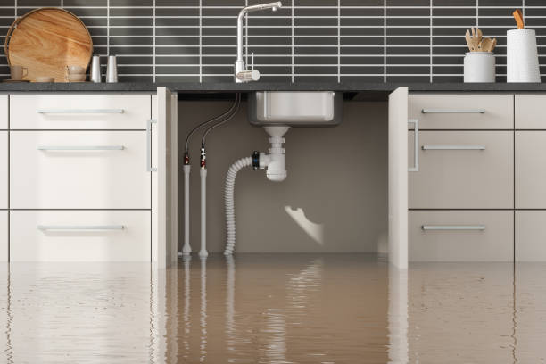 Best Flood damage cleanup  in Mount Pleasant, PA