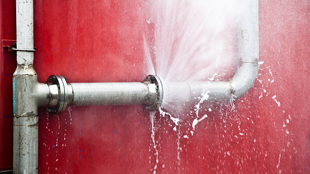 Best Water damage cleanup near me  in Mount Pleasant, PA